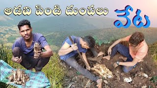 మా గిరిజనులు ఇష్టంగా తినే అడవి పిండి దుంపలు