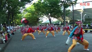 よさこい柏紅塾 2012原宿 よさこい　8月25日NHK前ストリート2