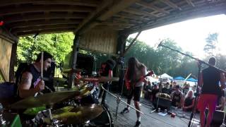 VOLUNTARY DISFIGUREMENT drums