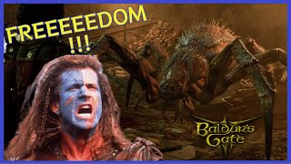 Baldur's Gate 3 - Freedom - Funny and Hilarious moments
