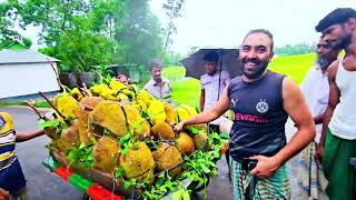 বৃষ্টির দিনের কাঁঠাল বিক্রয় গ্রামের এক অপূর্ব দৃশ্য✌ Jackfruit business in village ||ALAMIN HOSSAIN