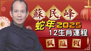 蘇民峰蛇年12生肖運程｜「屬猴」有女貴人！「屬狗」今年運氣排第一！「屬雞」的打工仔容易升職！