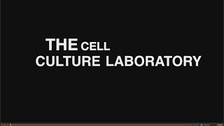 Mechanobiology lab safety videotutorial