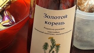 Настойка Золотого корня  Golden root tincture #виктортрофимов #кореньжизни