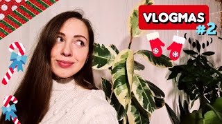 Vlogmas 2021 #2 | Come with me to work and let's repot my BIG Rubber Tree