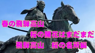 飛騨高山の桜の名所をご紹介【城山編】