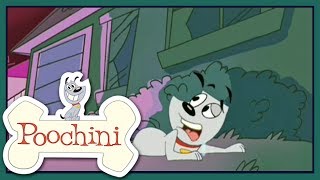 Poochini - Episode 17 - The Baldness