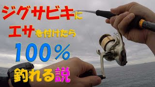 【ジグサビキで確実に釣る！】ジグサビキにエサをつけたら格段に釣果が上がります！誰でも簡単に釣れる動画です。