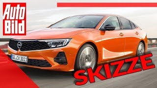 Opel Insignia (2022): Neuvorstellung - PSA-Plattform - Skizze