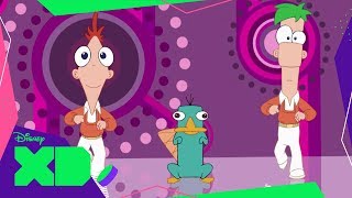 Todo mejora con Perry | Phineas y Ferb