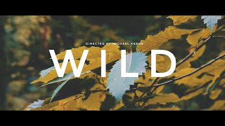 Wild (2018) Canon T7I 800D Cinematic