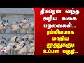 Thoothukudi | Birds | திடீரென வந்த அரிய வகை பறவைகள்.. ரம்மியமாக மாறிய தூத்துக்குடி உப்பள பகுதி..