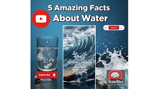 5 Amazing Facts About Water