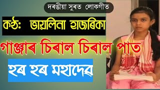 গাঞ্জাৰ চিৰাল চিৰাল পাত | Ganjar Siral Siral Paat