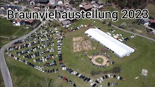 Braunviehausstellung in Kastelruth (Südtirol) 2023