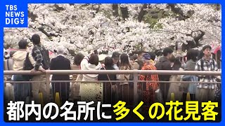 桜満開　都内の名所に多くの花見客　上野公園には外国からの旅行客も「桜を見られて感動的、夢が叶いました」｜TBS NEWS DIG