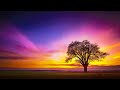 Relaxing Piano Music: Sad Piano Music for Stress Relief in a Minor Key, Melancholic Music