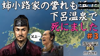 【信長の野望 新生 PK】#3 姉小路家の誉れは下呂温泉で死にました【ゆっくり実況】