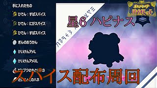 【ポケモンSV】星6ハピナス周回 3スパイス ぎんかん確定 概要欄の確認をお願いします！