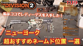 [ディビジョン2] NYネームド おすすめポイント1選