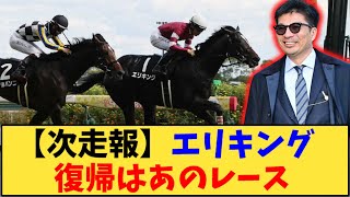 【競馬】「【次走報】エリキング  復帰はあのレース」に対する反応【反応集】