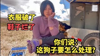 【王温暖徒步青藏线】徒步青藏线第12天，衣服鞋子惨遭平安毒口，车上物资耗尽感谢摩友