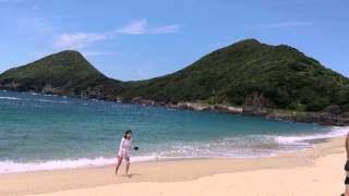 HYOUKETUKAJYU IN YAKUSHIMA 屋久島、一湊