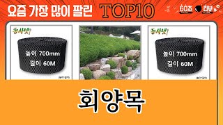 가장 많이 팔린 회양목 추천 Top10!