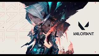 【参加型】雑魚のシルバーVALORANT】