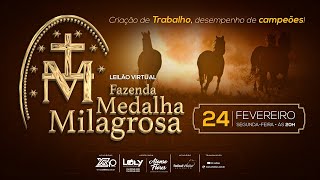 Leilão Virtual Fazenda Medalha Milagrosa - 24/02/25 às 20:00 horas.