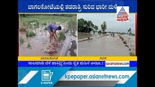 Bagalkot: Heavy Rain Damage Onion Crops