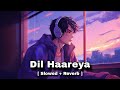 Dil Haareya ( Slowed + Reverb ) Arijit Singh | Juno Dharma 2.0 | Armaan Lofi