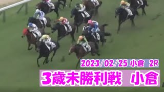 2023/02/25【パドック返し馬つき】小倉2R　３歳未勝利戦　　☆サトノグレイト　ダイワメジャー　＃レースは9分ころから