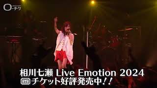 相川七瀬 Live Emotion 2024