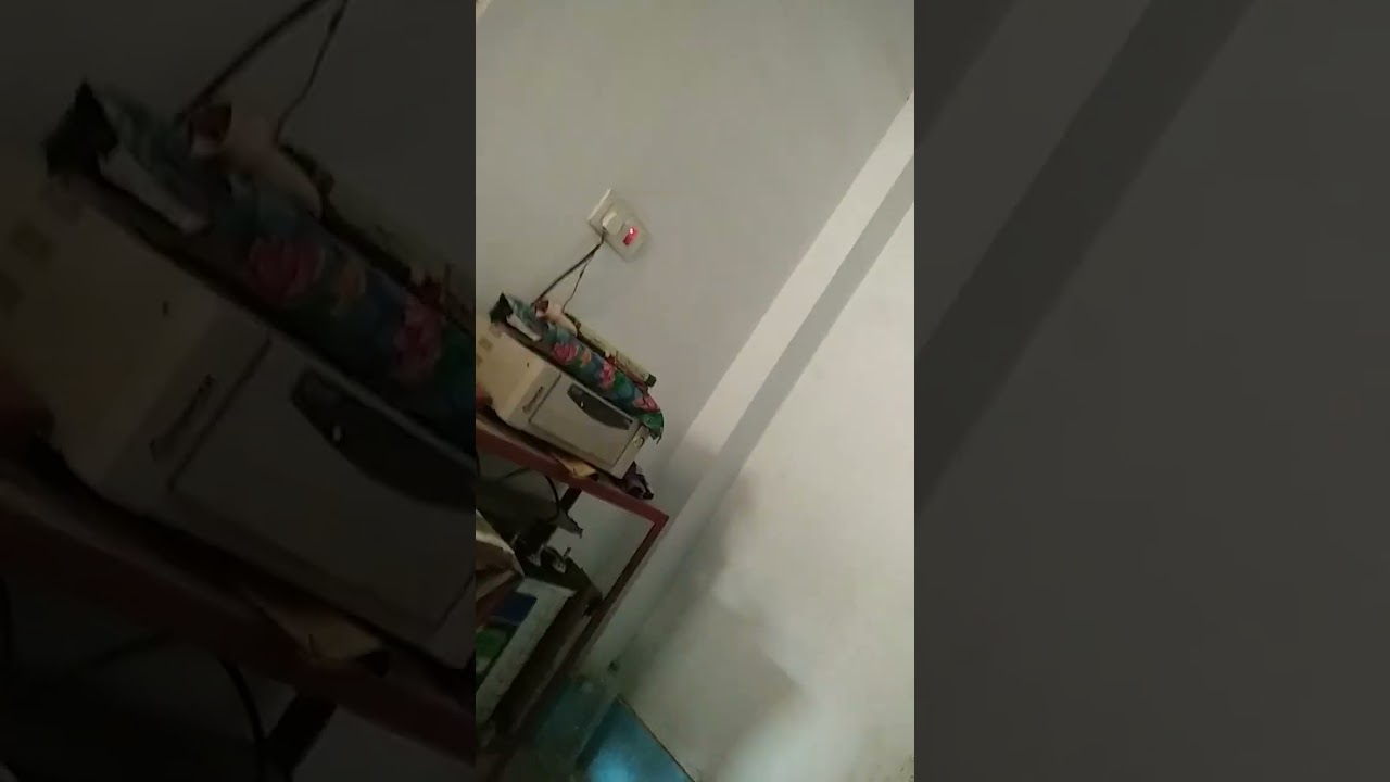 14 September 2022 Youtube