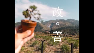 Juniper Bonsai 改善一顆迷你小盆栽的過程⏐Feel happy when you improve a small tree