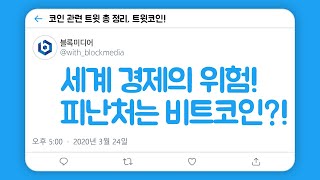 [트윗코인] 4화 - 위험한 세계 경제! 피난처는 비트코인?!