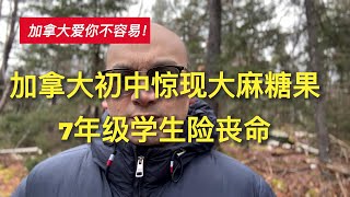 加拿大初中惊现大麻糖果，七年级学童险丧命