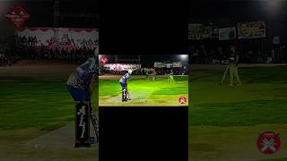 Yorker Maestros: Masters of the Tapeball Cricket Yorker\