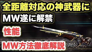 【Destiny2】マスターワーク解禁！デッドマンズテイルが全距離対応の神武器に！！【デスティニー2】