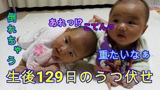 二卵性双子(男女)生後129日うつ伏せ！mix twins exercise of 129 days after birth face down