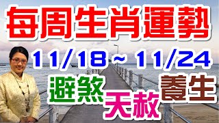 2019生肖運勢週報｜11/18-11/24｜金玲老師（有字幕）