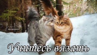 История двух котиков❤️ корые не умели вязать🧶