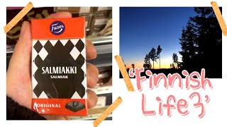 ENG) 핀란드에서 블루베리 따기, Finnish, forest, Finland , 핀란드 브이로그, 핀란드숲 ,Finland life💙