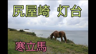 青森県　尻屋崎灯台　寒立馬