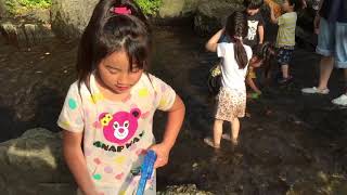 上尾丸山公園 水遊び　川遊び　水鉄砲