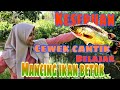 KEBERUNTUNGAN PEMULA LADY ANGLER BANUA MANCING IKAN BETOK || CEWEK CANTIK BELAJAR MANCING PAPUYU