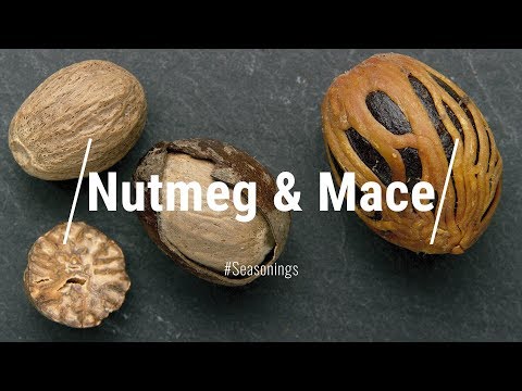Is mace and nutmeg the same?