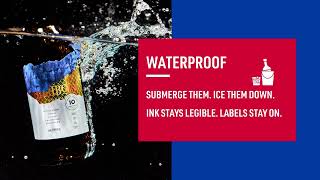 Avery Waterproof Labels