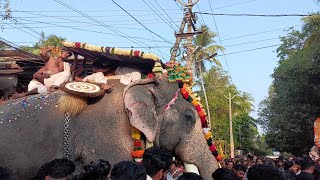 വടക്കുമുറിയുടെ  ഭീമയുഗം💥 മാസ് എൻട്രിയുമായി പുതുപ്പള്ളി കേശവൻ |chiravarambathukavu pooram 2024